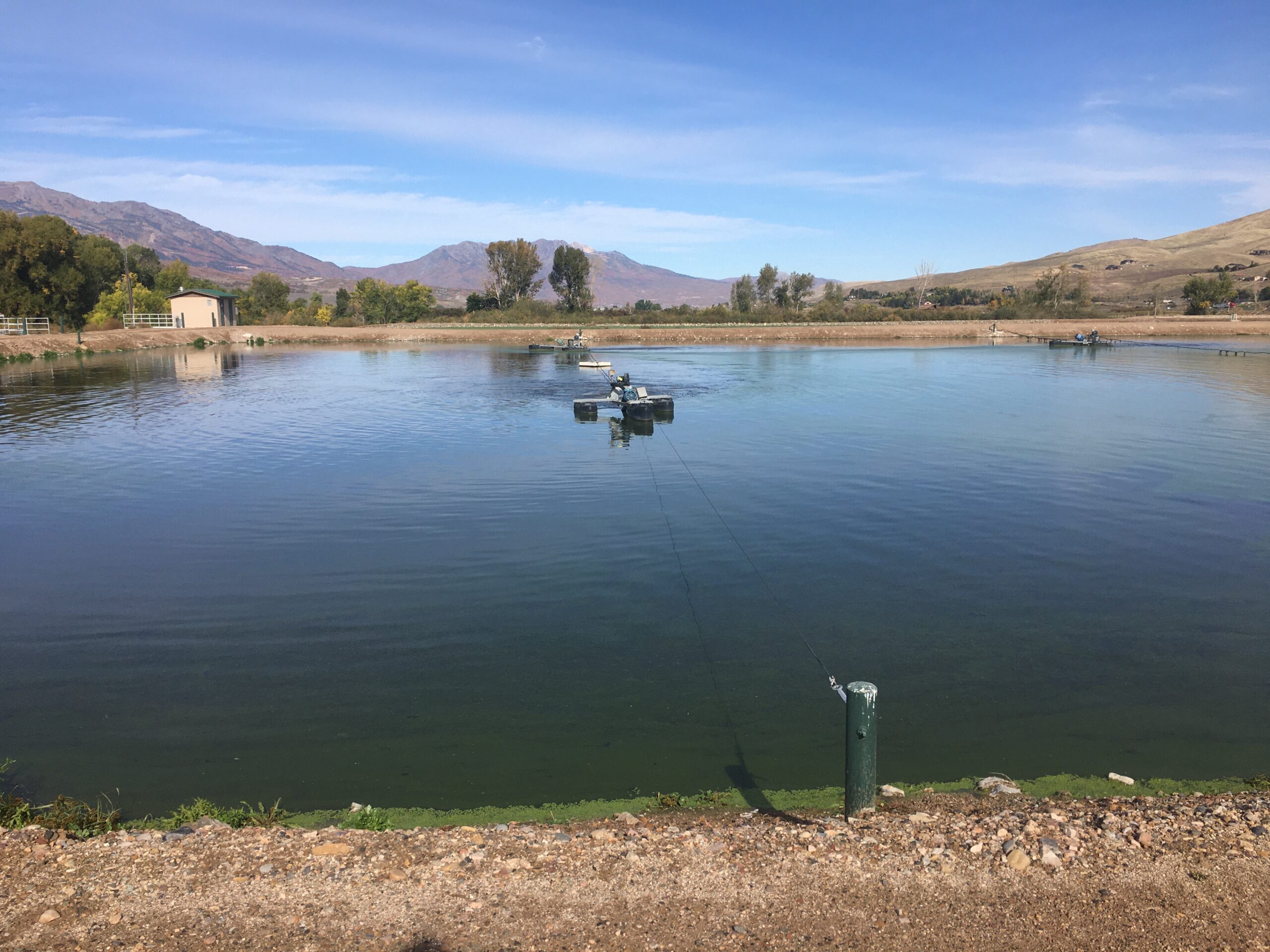 Wastewater Lagoon BioLynceus® Wastewater Lagoon