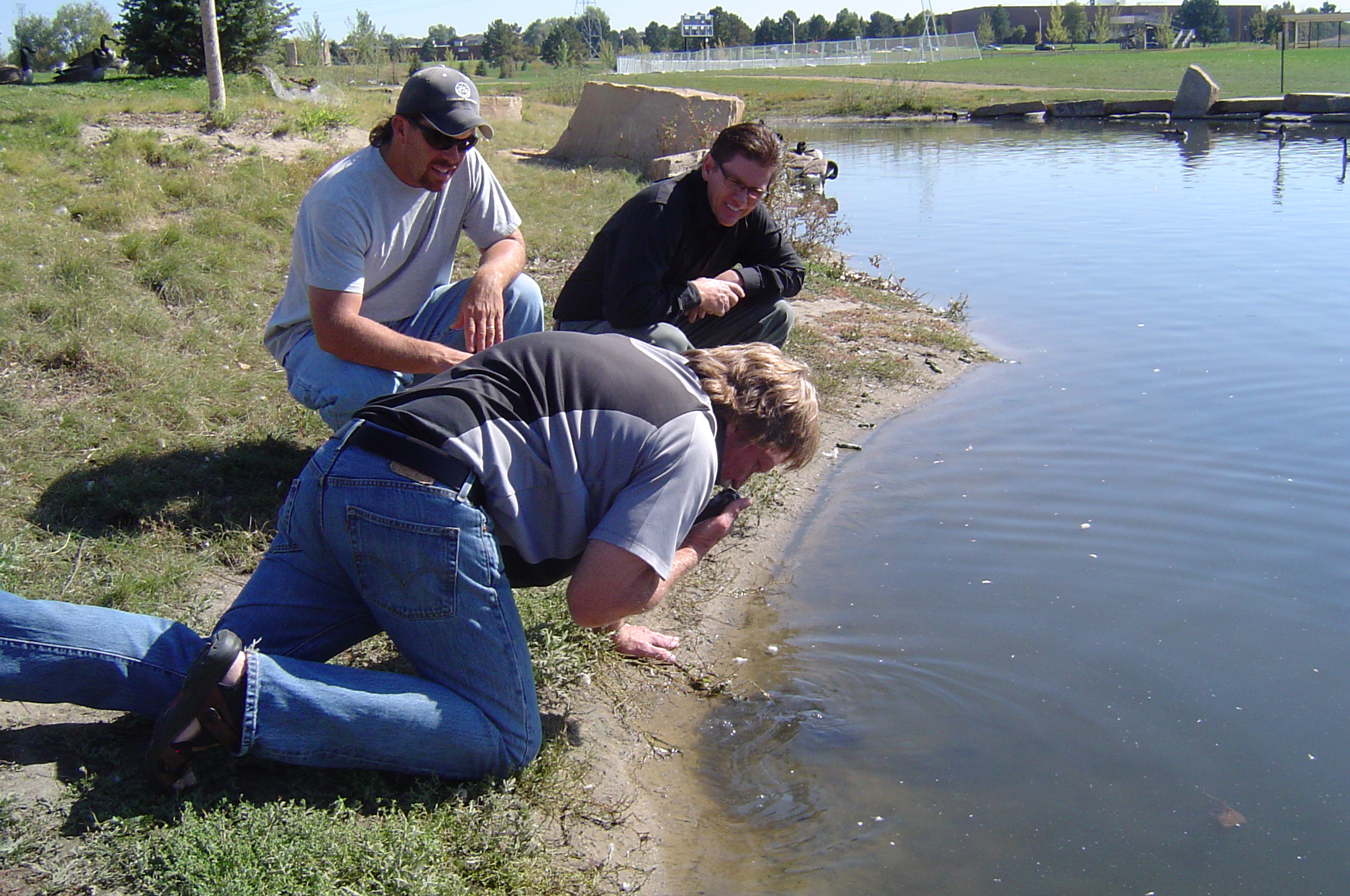 Wastewater Lagoon BioLynceus Probiotic Scrubber II Treatment for Toxic Hit